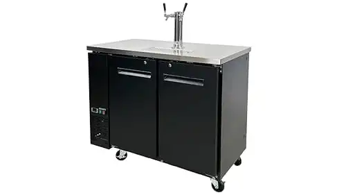 Commercial 2-Tap Beer Kegerator